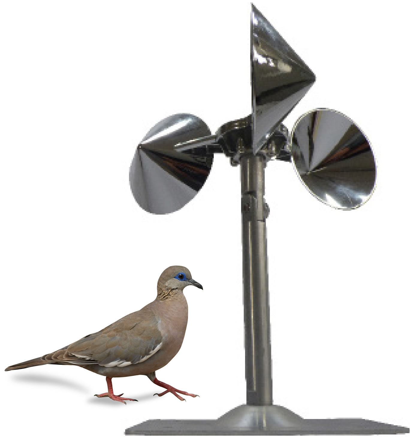 reflector para aves
