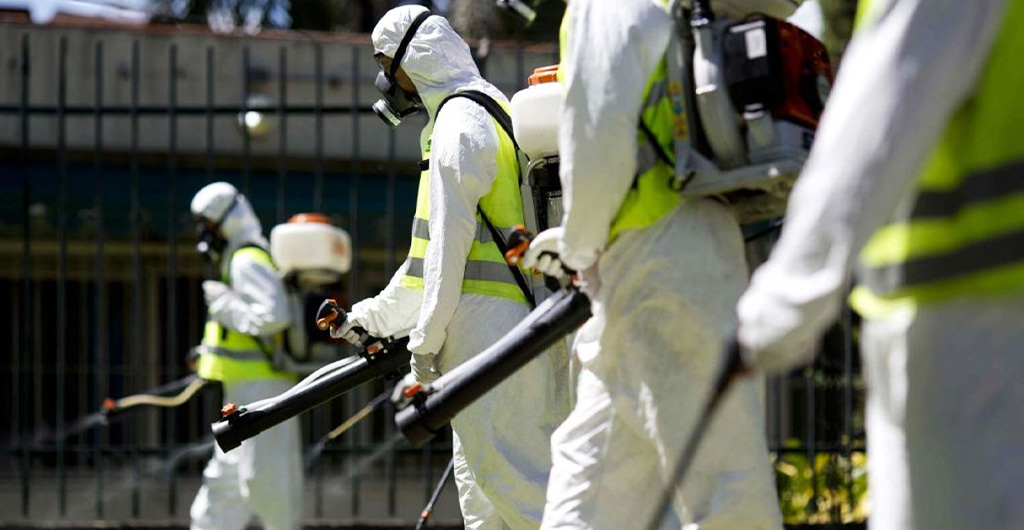 Servicio de Fumigación