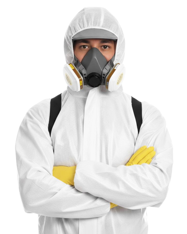 control-de-plagas-y-fumigacion servicio de control de plagas y fumigación profesional