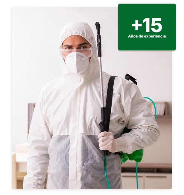 Servicio de Control de plagas y servicio de fumigación profesional